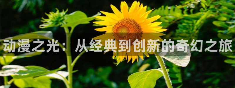 囧次元官网官网：动漫之光：从经典到创新的奇幻之旅