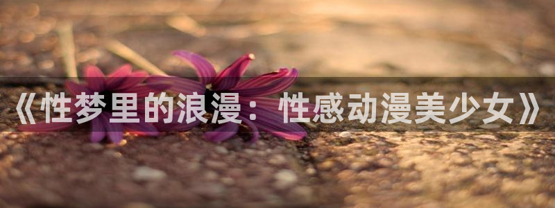 囧次元网页：《性梦里的浪漫：性感动漫美少女》