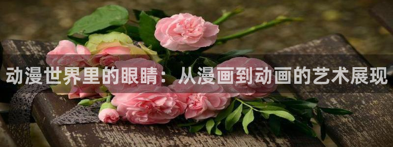 囧次元正版官网：动漫世界里的眼睛：从漫画到动画的艺术展现