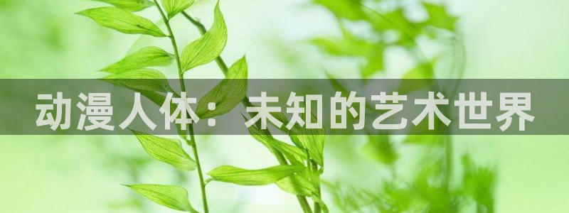 正版囧次元：动漫人体：未知的艺术世界