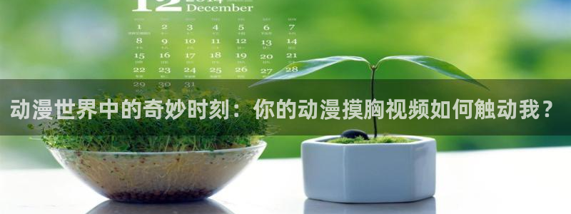 囧次元旧版：动漫世界中的奇妙时刻：你的动漫摸胸视频如何触动我？
