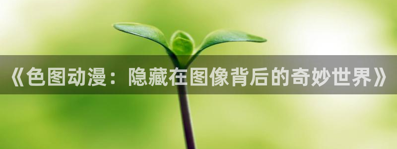 囧次元tv版：《色图动漫：隐藏在图像背后的奇妙世界》