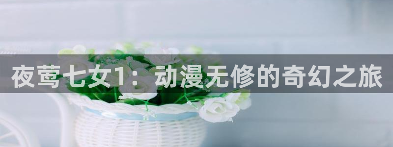 囧次元app下载官网版：夜莺七女1：动漫无修的奇幻之旅