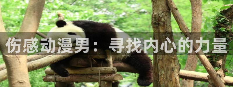 囧次元动漫官网入口：伤感动漫男：寻找内心的力量