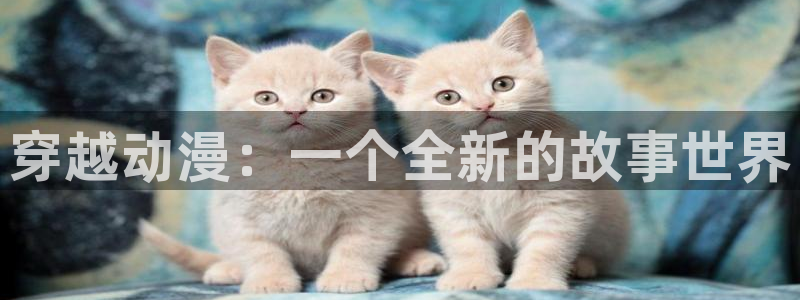 囧次元app下载官网版：穿越动漫：一个全新的故事世界