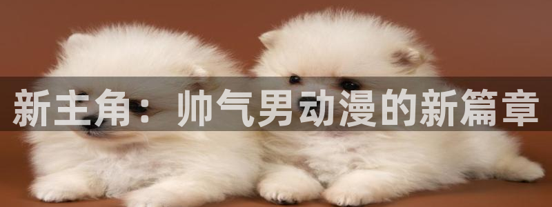 囧次元下载正版下载：新主角：帅气男动漫的新篇章