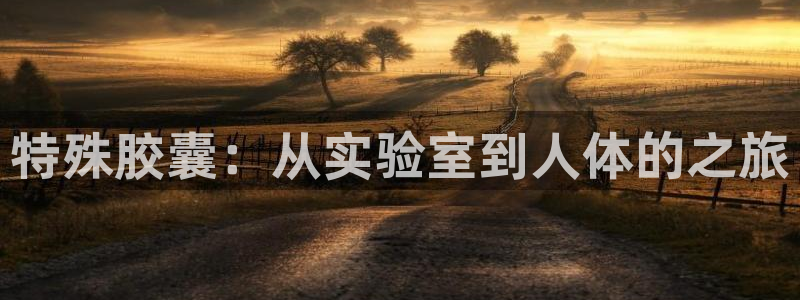 囧次元下载链接：特殊胶囊：从实验室到人体的之旅