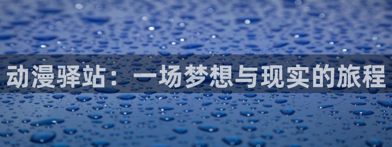 囧次元正版官方下载：动漫驿站：一场梦想与现实的旅程