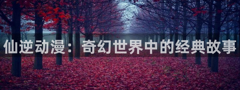 囧次元官网官方入门网站：仙逆动漫：奇幻世界中的经典故事