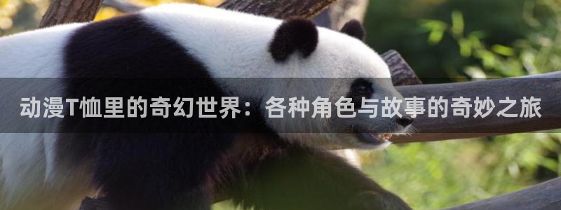 囧次元官方正版app下载：动漫T恤里的奇幻世界：各种角色与故事的奇妙之旅