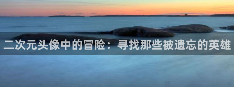 囧次元苹果版官方网站入口：二次元头像中的冒险：寻找那些被遗忘的英雄