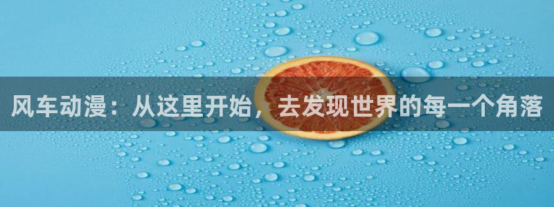 囧次元网页版入口：风车动漫：从这里开始，去发现世界的每一个角落