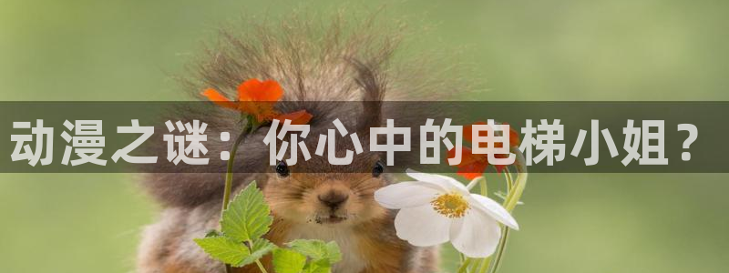囧次元官网：动漫之谜：你心中的电梯小姐？