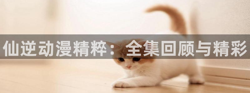 最新囧次元app下载：仙逆动漫精粹：全集回顾与精彩