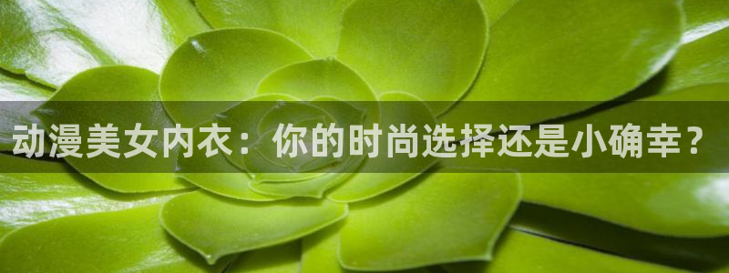 囧次元官方官网：动漫美女内衣：你的时尚选择还是小确幸？