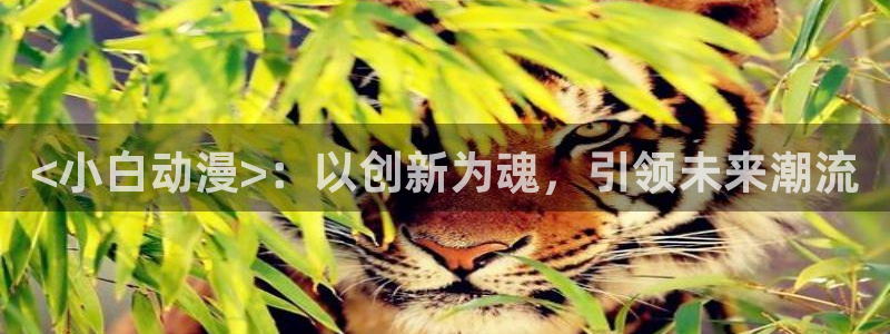 囧次元官方入口下载：<小白动漫>：以创新为魂，引领未来潮流