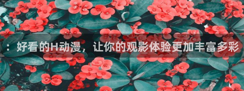 囧次元在线官网入口：：好看的H动漫，让你的观影体验更加丰富多彩