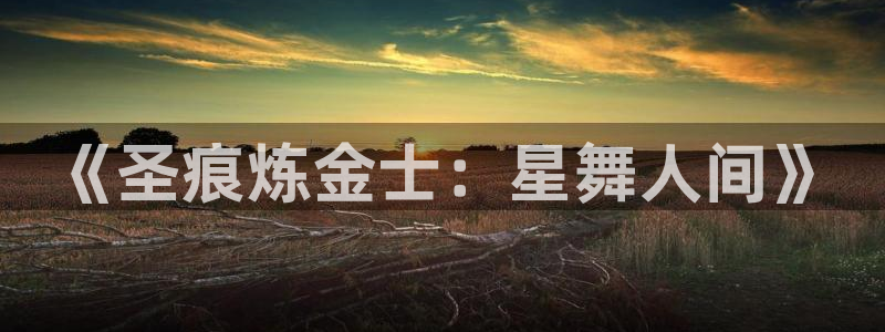 囧次元官方网站入口官网：《圣痕炼金士：星舞人间》