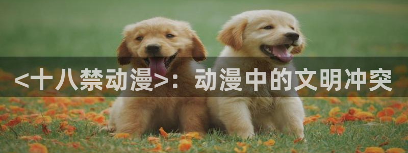 囧次元网站入口：<十八禁动漫>：动漫中的文明冲突