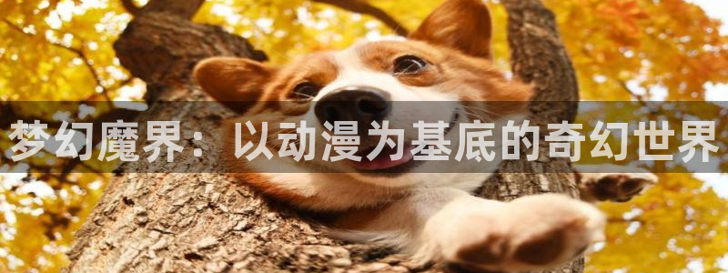 囧次元app下载官网版安卓：梦幻魔界：以动漫为基底的奇幻世界