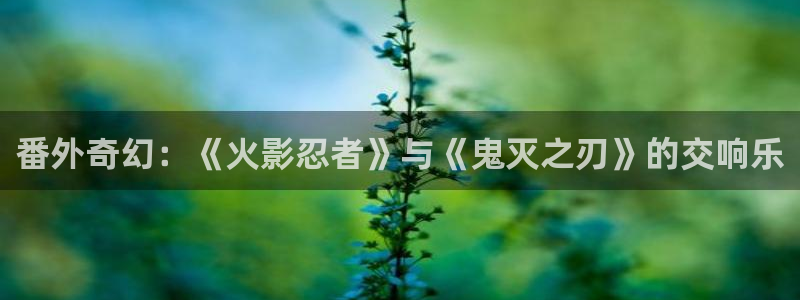 囧次元官方官网入口最新：番外奇幻：《火影忍者》与《鬼灭之刃》的交响乐