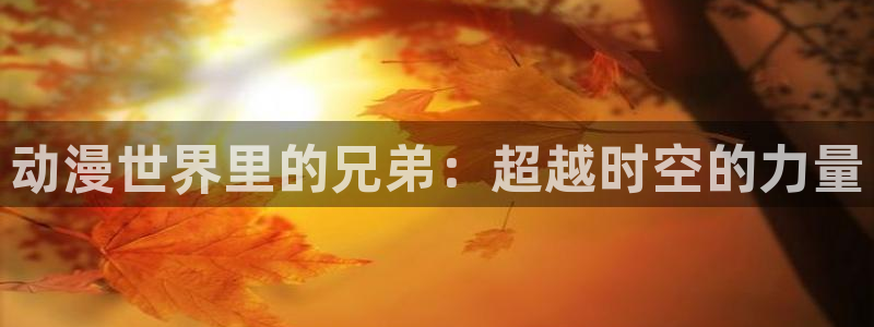 囧次元苹果版官方网站入口：动漫世界里的兄弟：超越时空的力量