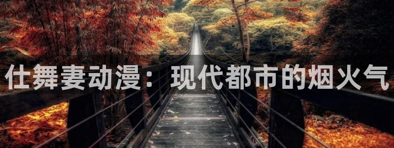 囧次元网页版入口网址：仕舞妻动漫：现代都市的烟火气