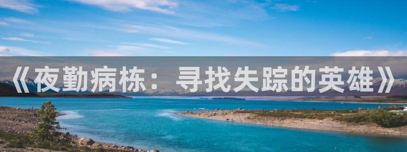 囧次元官网官方入口：《夜勤病栋：寻找失踪的英雄》
