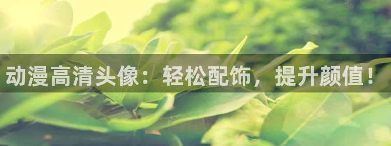 囧次元app正版下载：动漫高清头像：轻松配饰，提升颜值！