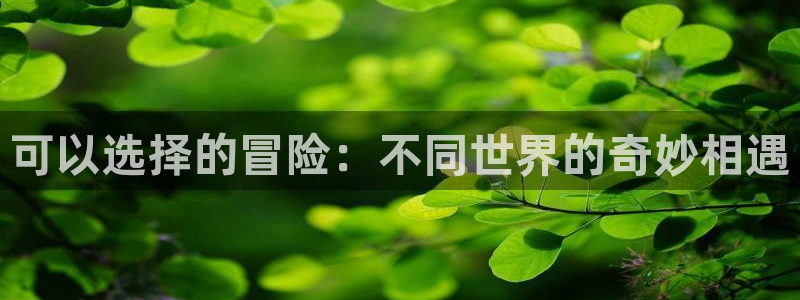 囧次元 官网：可以选择的冒险：不同世界的奇妙相遇